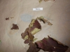 tn_dscf5015