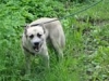 tn_dsc00121