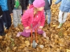 tn_dsc05485