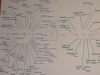sam_59522
